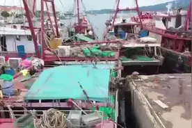 视频｜南海伏季休渔结束，惠州渔民开启新一轮“耕海牧渔”图片