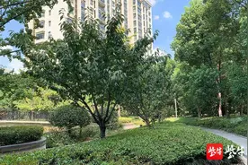 南京一小区上百人被流浪猫所伤？记者探访发现系夸大图片