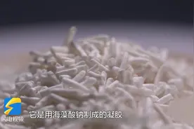 港口雄开万里流｜火腿肠中的白色物质是肥肉？来看一颗海藻的神奇旅程图片