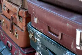 新西兰一人拍“仓库盲盒”，却从手提箱中发现人类遗骸图片