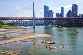 重庆嘉陵江水位明显降低 专家解释“汛期反枯”原因图片