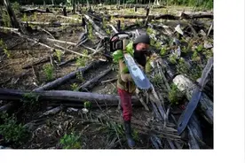 外媒：全球生物多样性面临多种威胁图片