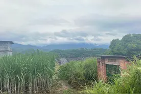 复读13年唐尚珺坦承对母亲有愧：如读上海交大要看能否换专业，感慨应先上个大学图片