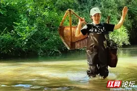 夏天的欢乐可不止小龙虾，来一盘更出味的小河虾尝尝图片