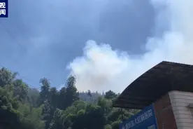 重庆南川突发山火，救援力量已陆续到达现场图片