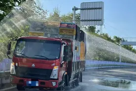 救命“鸭”！高速路上1000余只鸭子险变“烤鸭”图片