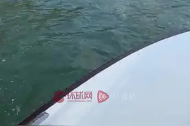 一对男女在威尼斯大运河冲浪激怒市长，被处罚款并被立即驱逐图片