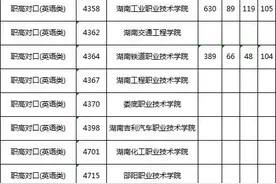 已降分！湖南高职专科批(职高对口类)第一次征集志愿投档分数线公布图片