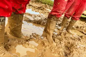 照着做！微信运动步数绝对名列前茅！图片