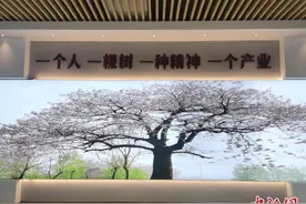 兰考“音乐小镇”：一棵泡桐树“长”出大产业图片