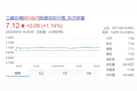 三峰环境上半年营收28.57亿元 已投资垃圾焚烧项目52个图片