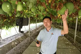 江苏靖江：点赞农村新变化 村支书们齐“吆喝”图片