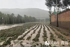 愿天晴之后 再折回温暖图片