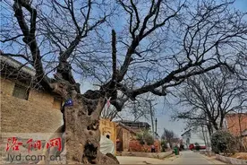 孟津这些古村落，竟藏着如此神秘……图片