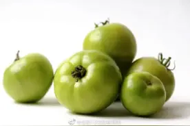 未成熟的西红柿生吃危险性更大图片