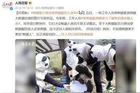 这组照片火了！熊猫：我当时害怕极了图片