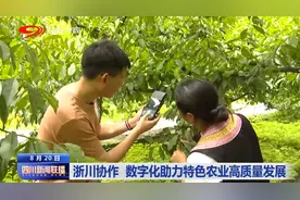 四川新闻联播｜抓发展惠民生 浙川情深花开高原图片