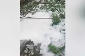 现场实拍！威海一小区河道飘满白色泡沫 目前尚不清楚具体原因图片