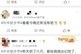 北京多小区出现同一种虫子？专家释疑，防虫方法——图片