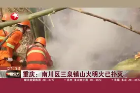 重庆：南川区三泉镇山火明火已扑灭视频封面