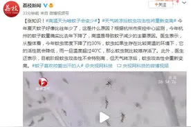 涨知识！高温天为啥蚊子会变少图片