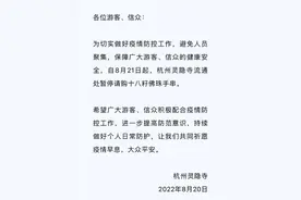 灵隐寺十八籽手串为何火爆？又为何停售？图片