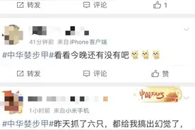 北京多小区“闹虫”？专家释疑图片