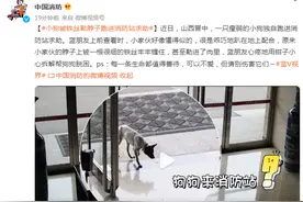 每个生命都值得善待，小狗被铁丝勒脖子跑进消防站求助图片