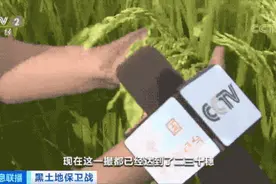 耕地中的“大熊猫”，全球七成黑土地面临退化！国家立法保护图片