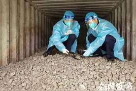 安徽一地通报！截获“褐寡妇”图片