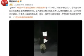 惊悚！男子开车遇野生棕熊以为是条狗图片
