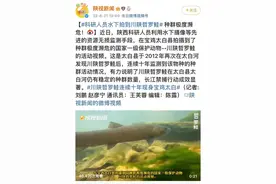 极度濒危，科研人员水下拍到川陕哲罗鲑，与“喀纳斯水怪”同属图片