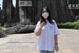 走进世界自然遗产地云南石林图片