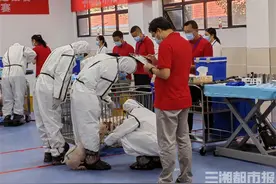 为鸡采血、给猪打疫苗……看一场关于动物的别样“角逐”图片