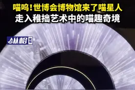 喵呜！世博会博物馆来了喵星人，走入稚拙艺术中的喵趣奇境图片