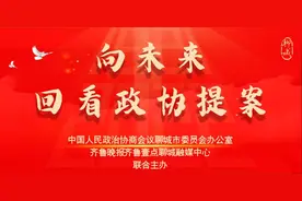 向未来·回看政协提案｜聊城查处乱用“警用标志”不手软图片