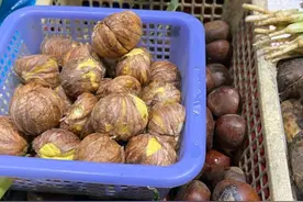 秋天的第一锅糖炒栗子什么时候上？炒货店老板：天实在太热了图片