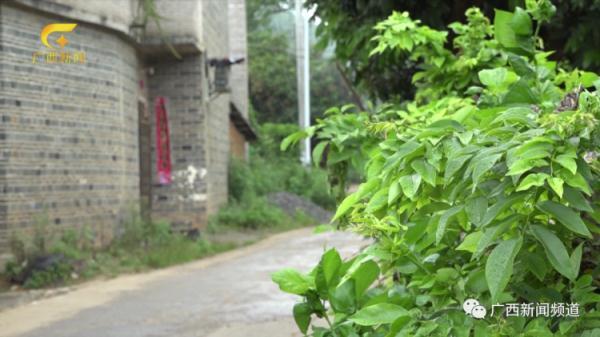 陌生人称给50万元放人？藤县3岁男孩搜寻68小时细节曝光