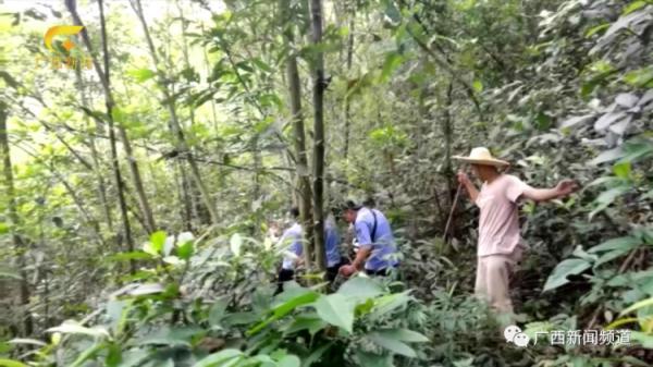 陌生人称给50万元放人？藤县3岁男孩搜寻68小时细节曝光