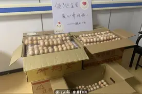 5年捐了6006个虚拟鸡蛋，拿到6006个真鸡蛋，这位“捐蛋大王”做了这件事图片