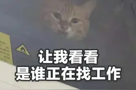 招142人！国企岗位又来了！省内多地有岗…图片