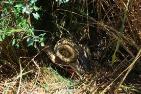 桂林灵川：两女子骑摩托翻车坠落20米深山洞图片