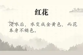 这些中药是真是假，一杯水就能试出来图片