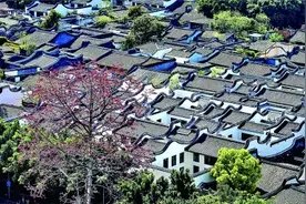 听“三坊七巷”的历史足音图片