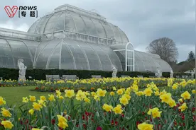 探访地球“保险箱”：24亿颗种子静静休眠，16900种植物活着被收藏图片