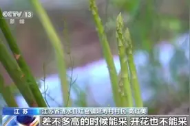 高温天气，看各地如何让农产品从田间“鲜”到餐桌图片