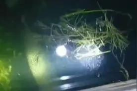 河南汝州抽干湖水寻怪鱼 今天有望被捕捉到图片