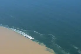 走在前 开新局｜什么是河黄海清泾渭分明？来观赏黄河入海口“黄蓝交汇”图片