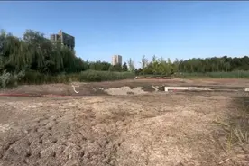 河南汝州抽干湖水抓捕“怪鱼”专家：会攻击人和严重破坏生态图片