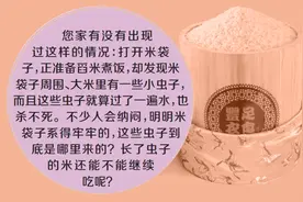 家中的大米为何会生虫？杀虫和防虫，注意这5点图片